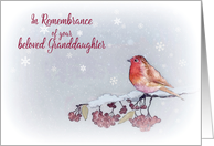 In Remembrance, Beloved Granddaughter, Christmas, Religious card