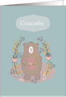 Thank You in Russian, Spasibo, Cute Bear, Illustration card