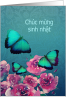 Vietnamese, Happy Birthday, Butterflies and Roses card
