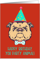 Happy Birthday, You Party Animal, Retro Bulldog with Hat, Humor, Red card