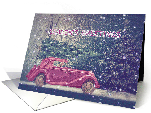 Season's Greetings, Dog driving Old-timer, Christmas, Snow card