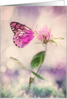 Blank Note Card, Butterfly, Flower, Clover, Bokeh Light card