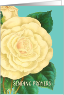 Religious Cancer Encouragement, Cream Rose card