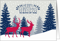 To Both of You, Merry Christmas, Reindeer in Forest card