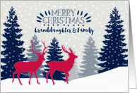 Granddaughter and Family, Merry Christmas, Reindeer, Forest card