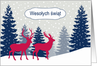 Merry Christmas in Polish, Deer in Forest card