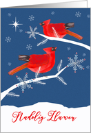 Merry Christmas in Welsh, Nadolig Llawen, Red Birds, Snowflakes card