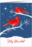 Merry Christmas in Spanish, Feliz Navidad, Red Cardinal Birds card