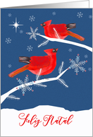 Merry Christmas in Portuguese, Feliz Natal, Red Cardinal Birds card
