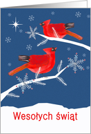 Merry Christmas in Polish, Red Cardinal Birds card