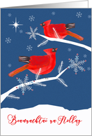 Christmas Greetings in Irish Gaelic, Red Cardinal Birds card