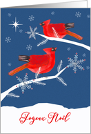 Merry Christmas in French, Joyeux Noël, Cardinal Birds card
