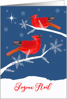 Merry Christmas in French, Joyeux Nol, Cardinal Birds card