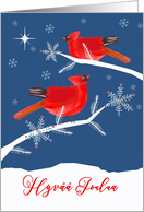 Merry Christmas in Finnish, Hyv Joulua, Cardinal Birds card