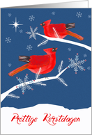 Merry Christmas in Dutch, Prettige Kerstdagen, Cardinal Birds card