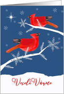 Merry Christmas in Czech, Vesel Vnoce, Cardinal Birds card