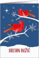 Merry Christmas in Croatian, Cardinal Birds card