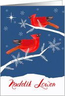 Merry Christmas in Cornish,Nadelik Lowen, Cardinal Birds card