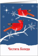 Merry Christmas in Bulgarian, Cardinal Birds, Winter Landscape, Star card