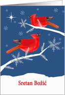 Merry Christmas in Bosnian, Cardinal Birds, Winter Landscape, Star card