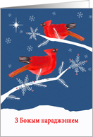 Merry Christmas in Belarusian, Cardinal Birds, Winter Landscape, Star card