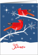 Peace, Christmas Greetings, Red Cardinal Birds, Winter Landscape card