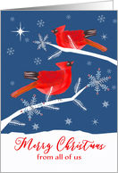 From All Of Us, Corporate, Merry Christmas, Cardinal Birds, Winter card