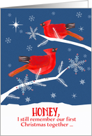 To a wonderful Husband, Merry Christmas, Cardinal Birds, Winter card