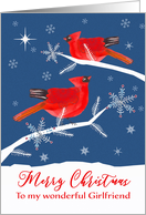 To my wonderful Girlfriend, Merry Christmas, Cardinal Birds, Winter card