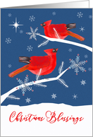 Christmas Blessings, Christian, Cardinal Birds, Winter card