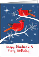 Birthday on Christmas, Cardinal Birds, Winter Landscape card