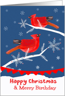 Birthday on Christmas Eve, Cardinal Birds, Winter Landscape card