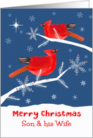 Son and his Wife, Merry Christmas, Cardinal Bird, Winter Landscape card