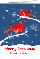 Son and his Family, Merry Christmas, Cardinal Bird, Winter Landscape card