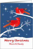 Niece and her Family, Merry Christmas, Cardinal Bird, Winter card