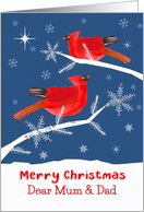 Mum and Dad, Merry Christmas, Cardinal Bird, Winter card