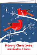Granddaughter and her Fiance, Merry Christmas, Cardinal Bird, Winter card