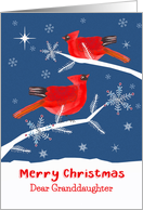 Dear Granddaughter, Merry Christmas, Cardinal Bird, Winter card