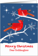 Dear Goddaughter, Merry Christmas, Cardinal Bird, Winter card