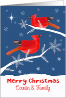 Cousin and Family, Merry Christmas, Cardinal Bird, Winter card