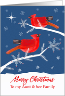 Aunt and her Family, Merry Christmas, Cardinal Bird, Winter card