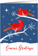 Season’s Greetings, Cardinal Bird, Winter Landscape, Star card