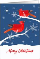 Merry Christmas, Cardinal Bird, Winter Landscape, Star card