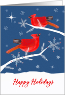 Happy Holidays, Cardinal Bird, Winter Landscape, Star card