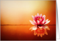 Blank Note Card, Beautiful White Pink Lotus Flower, Glowing Background card