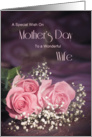 Wife, a special wish on Mother’s Day with roses card