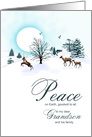 Grandson and his family, Christmas scene with reindeer card