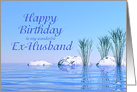 For a Ex-husband, a Spa Like,Tranquil, Blue Birthday card