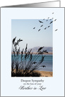 Sympathy on Loss of a Brother-in-Law, Seaside Scene card