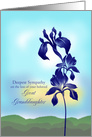 Sympathy Loss of Great Granddaughter, with Purple Flowers card